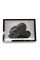 Tablet Microsoft Surface Pro 7+ - 633534